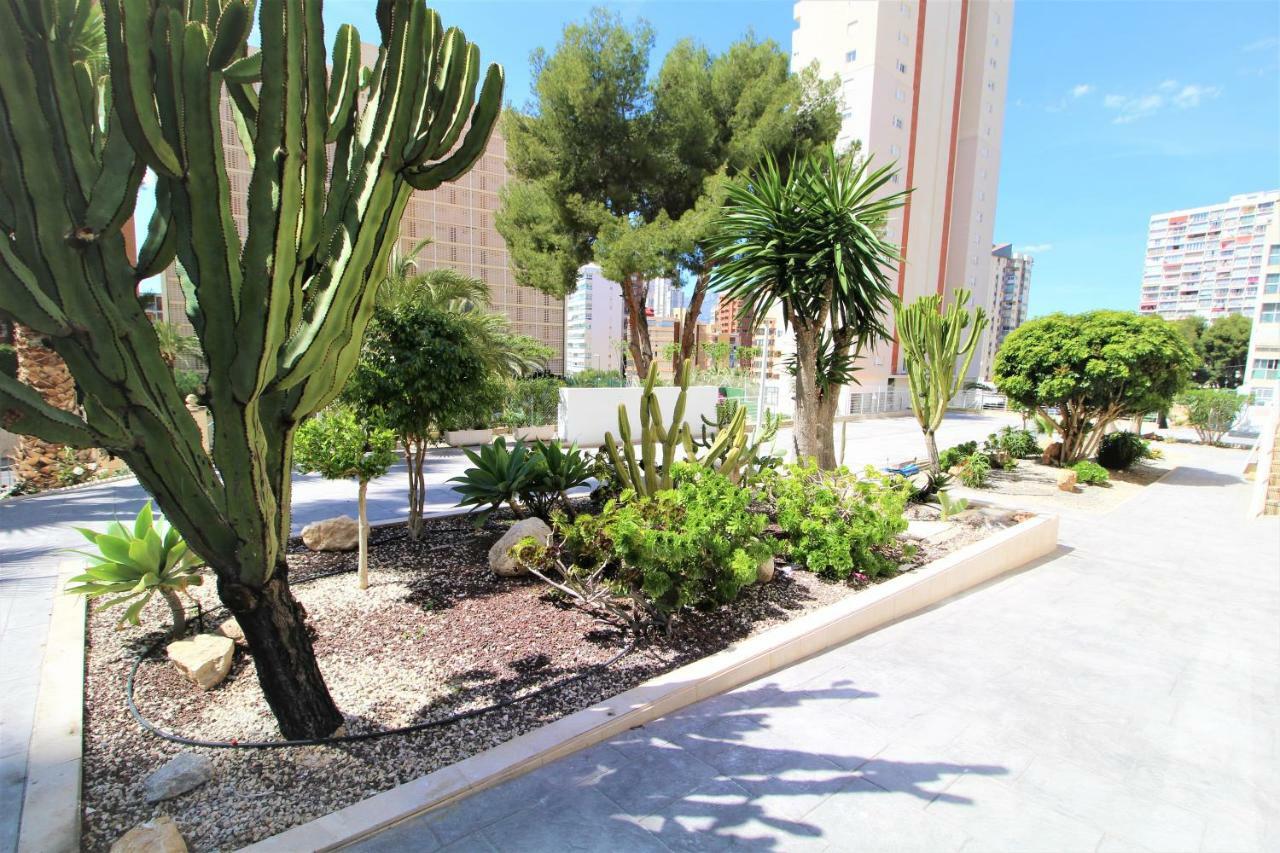 Atico Levante Torre Montecarlo Benidorm Exterior photo